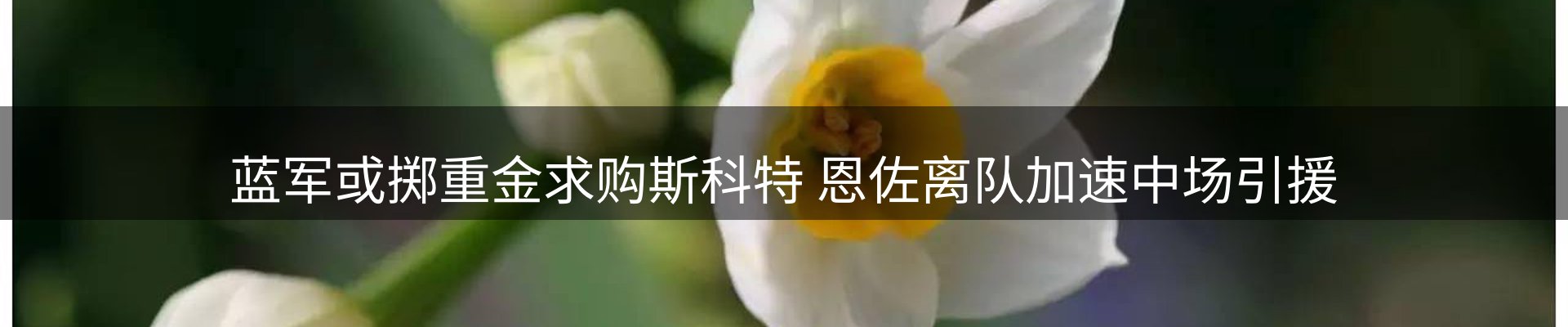 内页banner