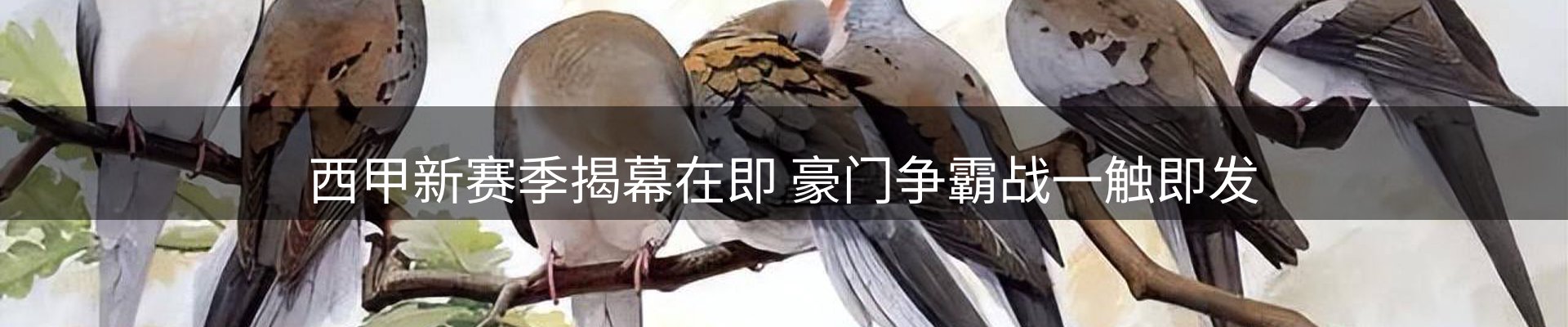 内页banner