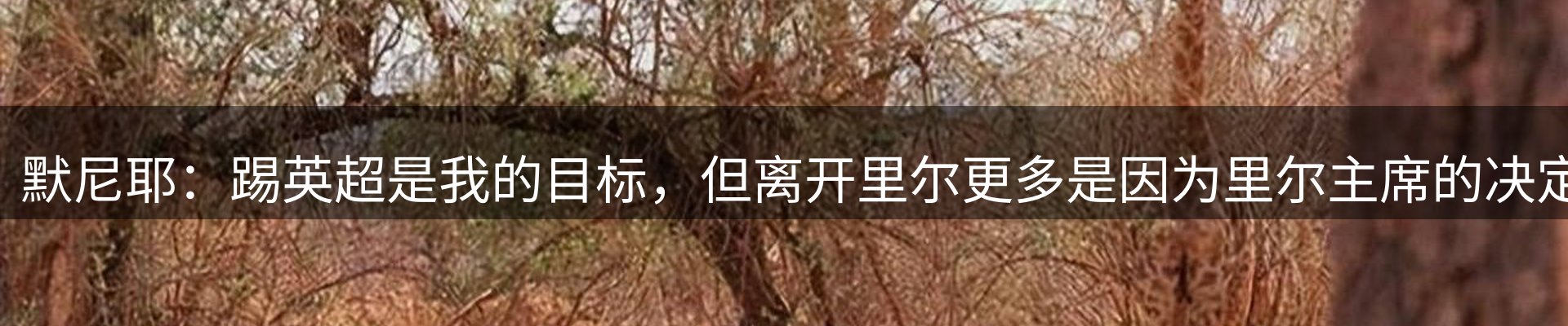 内页banner